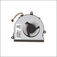 fans2